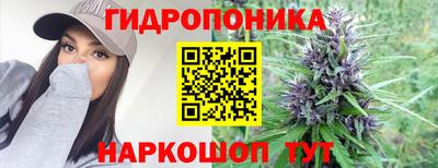стаф Волжский