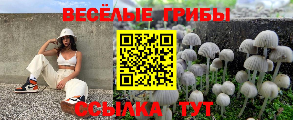 Псилоцибиновые грибы Cubensis  Вход с VPN  Ессентуки 
