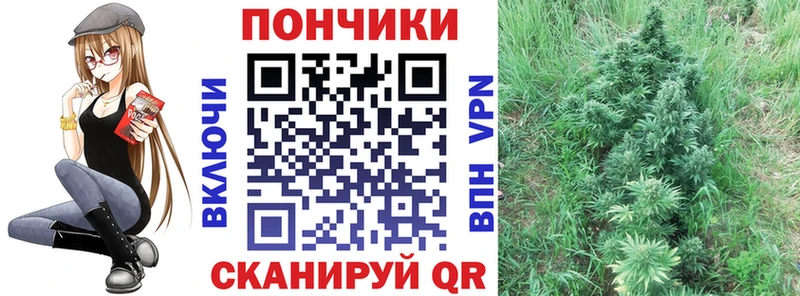 Марихуана ГИДРОПОН Ессентуки